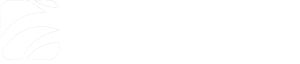Onlywood